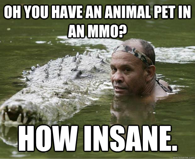 Oh you have an animal pet in an mmo? How insane. - Oh you have an animal pet in an mmo? How insane.  Unimpressed Hunter