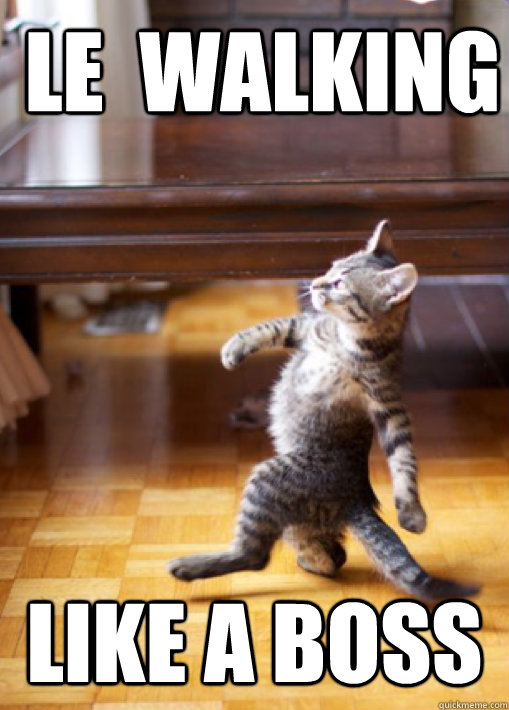 le  walking like a boss  