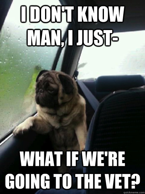 I don't know man, I just- What if we're going to the vet? - I don't know man, I just- What if we're going to the vet?  Introspective Pug