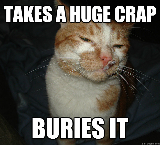 Takes a huge crap Buries it  Cool Cat Craig