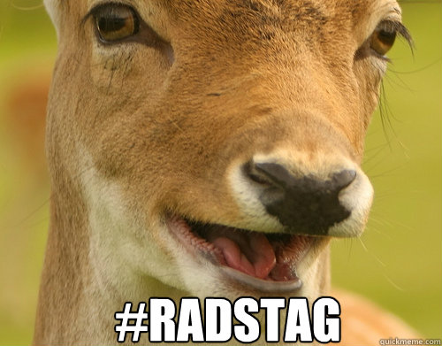  #RADSTAG  Hashtag Rad Stag