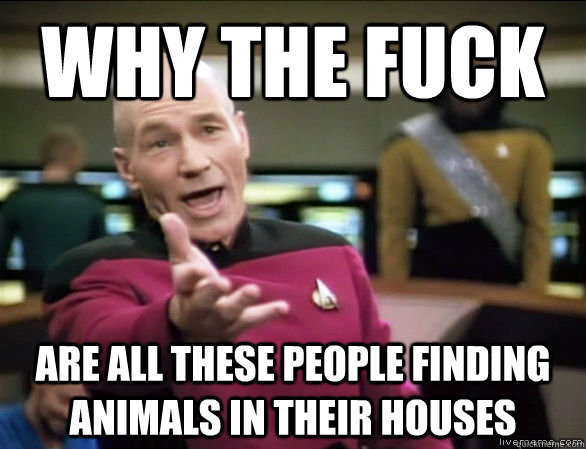 why the fuck are all these people finding animals in their houses  Annoyed Picard HD