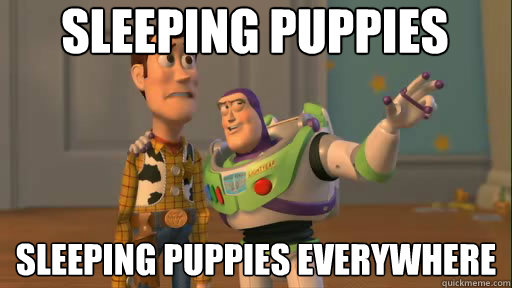 Sleeping puppies sleeping puppies everywhere  Everywhere