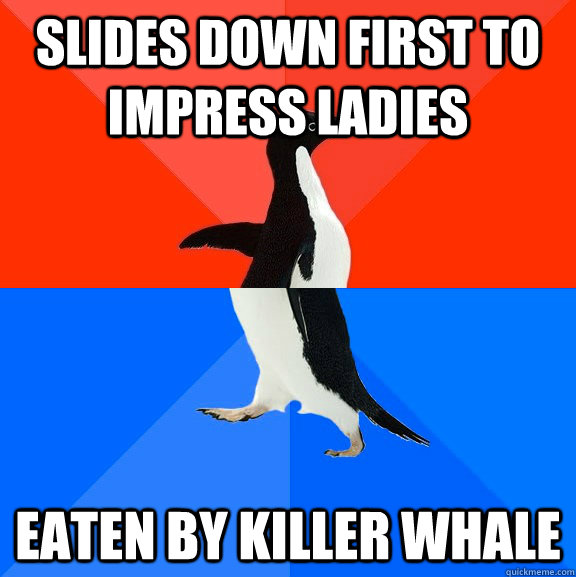 slides down first to impress ladies eaten by killer whale  Socially Awesome Awkward Penguin