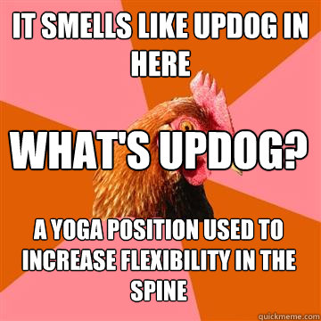 It smells like updog in here What's updog? A yoga position used to increase flexibility in the spine  Anti-Joke Chicken