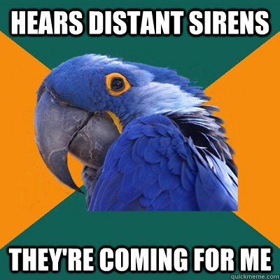 Hears distant sirens they're coming for me  Paranoid Parrot