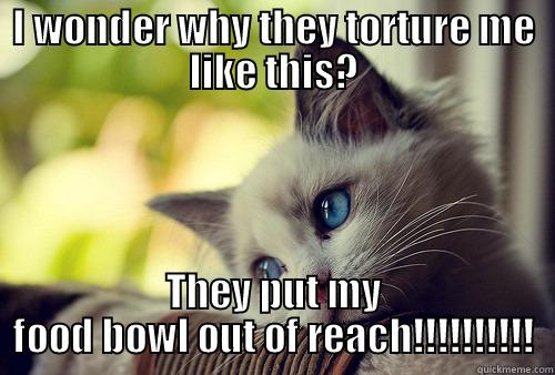 I WONDER WHY THEY TORTURE ME LIKE THIS? THEY PUT MY FOOD BOWL OUT OF REACH!!!!!!!!!! First World Problems Cat