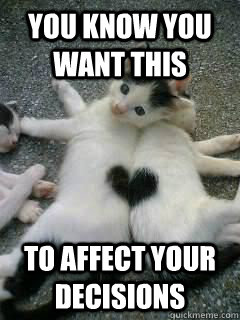 You know you want this to affect your decisions  3 cats