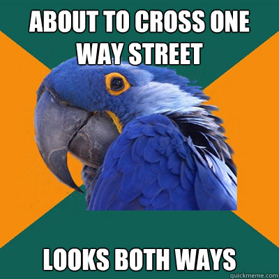About to cross one way street looks both ways  Paranoid Parrot