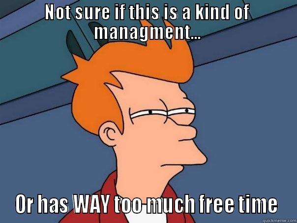 NOT SURE IF THIS IS A KIND OF MANAGMENT... OR HAS WAY TOO MUCH FREE TIME Futurama Fry
