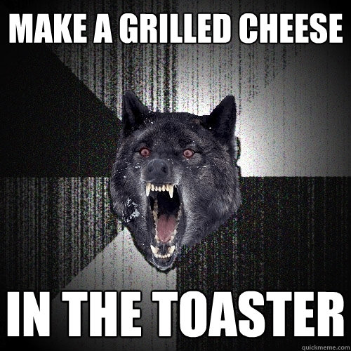 Make a grilled cheese In the toaster  Insanity Wolf