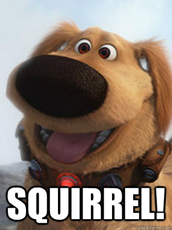  squirrel! -  squirrel!  Scatterbrained Dug