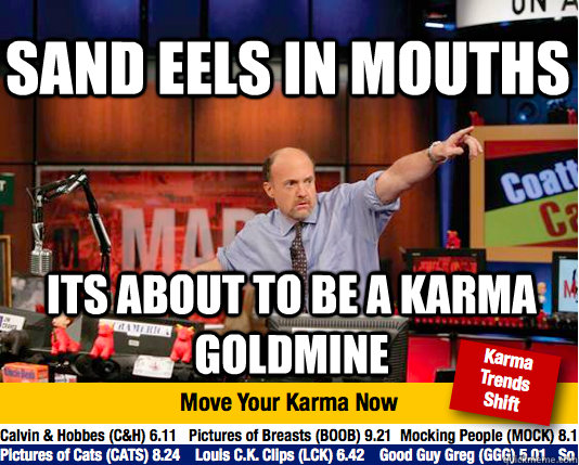 Sand eels in mouths Its about to be a karma goldmine  Mad Karma with Jim Cramer