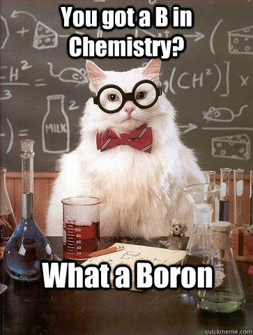 You got a B in  Chemistry? What a Boron  Chemistry Cat