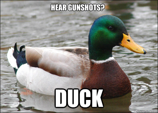 Hear gunshots? Duck  Actual Advice Mallard
