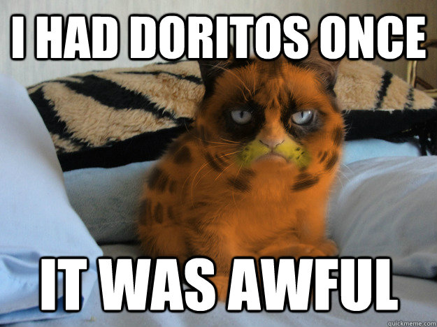 I had doritos once IT WAS AWFUL  Grumpy Cat