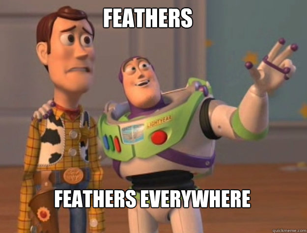feathers feathers everywhere  buzz