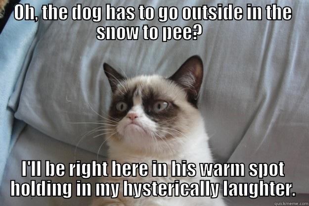 OH, THE DOG HAS TO GO OUTSIDE IN THE SNOW TO PEE?   I'LL BE RIGHT HERE IN HIS WARM SPOT HOLDING IN MY HYSTERICALLY LAUGHTER. Grumpy Cat