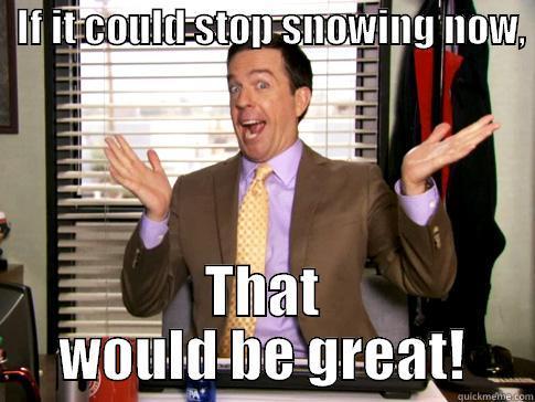 That'd be great! -   IF IT COULD STOP SNOWING NOW,     THAT WOULD BE GREAT! Misc