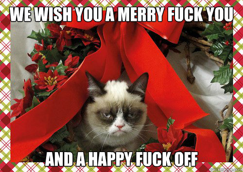 We wish you a merry fuck you and a happy fuck off  A Grumpy Cat Christmas