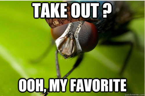 take out ? ooh, my favorite  Scumbag Fly