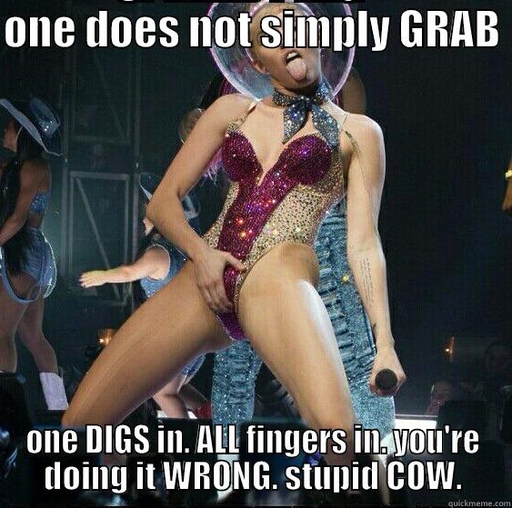 ONE DOES NOT SIMPLY GRAB  ONE DIGS IN. ALL FINGERS IN. YOU'RE DOING IT WRONG. STUPID COW. Misc