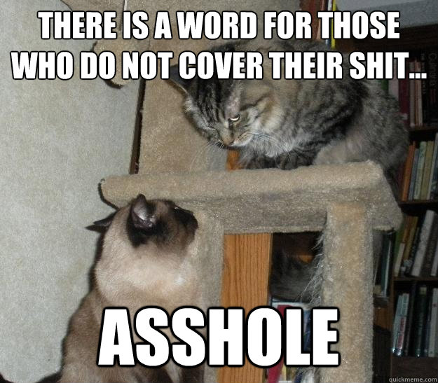 There is a word for those who do not cover their shit... Asshole - There is a word for those who do not cover their shit... Asshole  Battle Cats