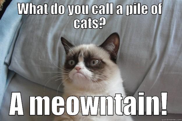WHAT DO YOU CALL A PILE OF CATS? A MEOWNTAIN! Grumpy Cat