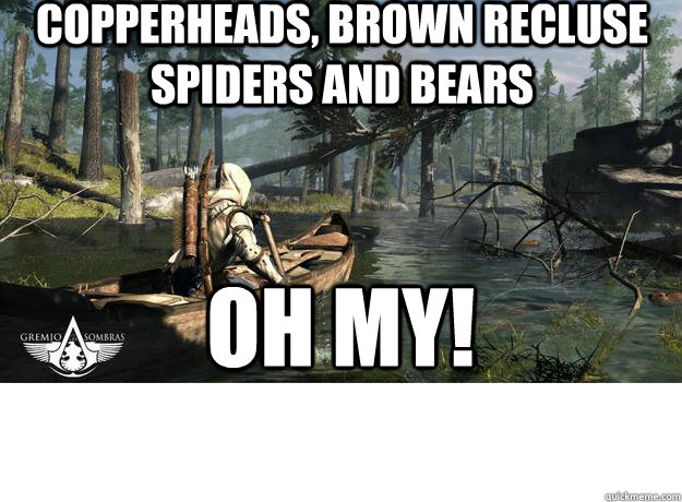 Copperheads, brown recluse spiders and bears oh my! - Copperheads, brown recluse spiders and bears oh my!  connor canoe