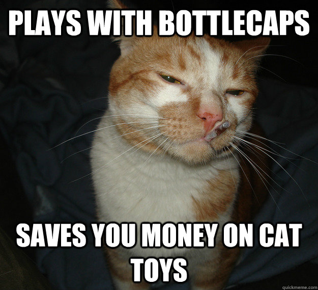 Plays with bottlecaps Saves you money on cat toys  Good Guy Cat