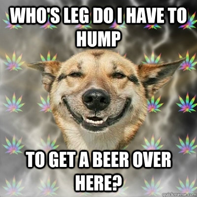 who's leg do I have to hump to get a beer over here?  Stoner Dog