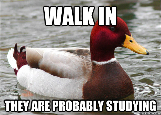 Walk in They are probably studying  Malicious Advice Mallard