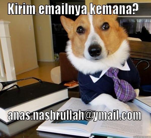 KIRIM EMAILNYA KEMANA?  ANAS.NASHRULLAH@YMAIL.COM Lawyer Dog