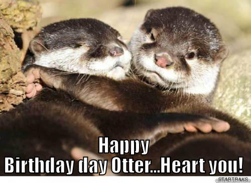  HAPPY BIRTHDAY DAY OTTER...HEART YOU! Misc