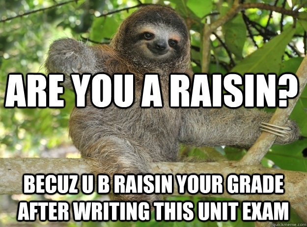 Are you a raisin? Becuz u b raisin your grade after writing this unit exam  Sloth