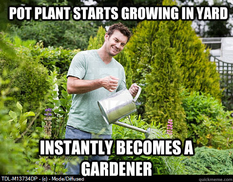 pot plant starts growing in yard instantly becomes a gardener  stoner gardener