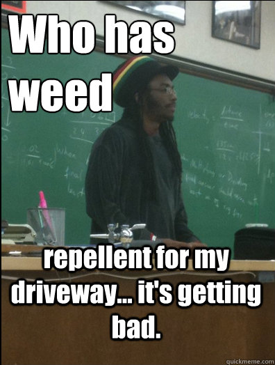 Who has weed repellent for my driveway... it's getting bad.  Rasta Science Teacher