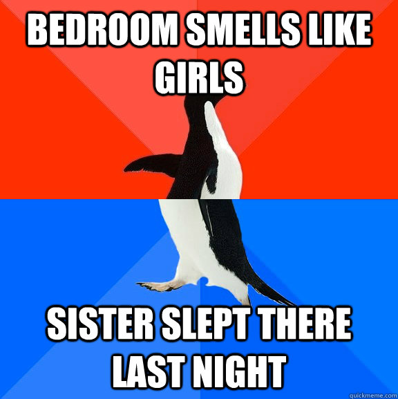 bedroom smells like girls sister slept there last night  Socially Awesome Awkward Penguin