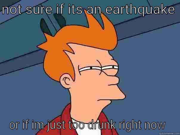 NOT SURE IF ITS AN EARTHQUAKE  OR IF IM JUST TOO DRUNK RIGHT NOW  Futurama Fry