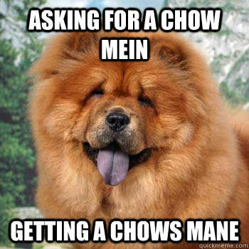 ASKING FOR A CHOW MEIN GETTING A CHOWS MANE  CHOW MANE