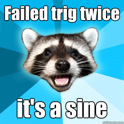 Failed trig twice it's a sine  Lame Pun Coon