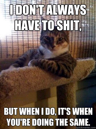I don't always have to shit, but when I do, It's when you're doing the same.  The Most Interesting Cat in the World