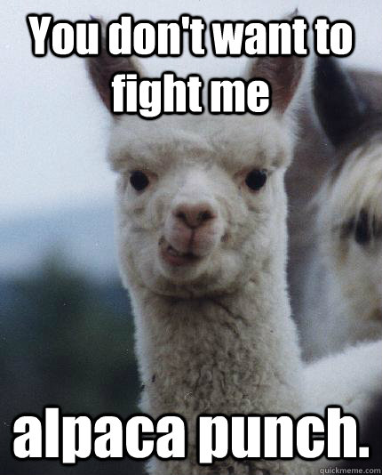 You don't want to fight me alpaca punch.  ALPACA