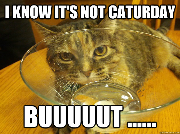 I know it's not Caturday buuuuut ......  Party Cat