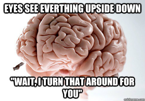 Eyes see everthing upside down 