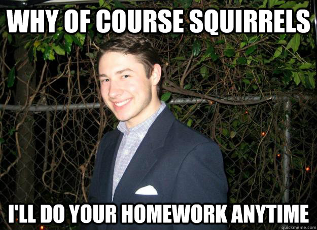 Why of course squirrels  I'll do your homework anytime - Why of course squirrels  I'll do your homework anytime  Good guy Gregemon