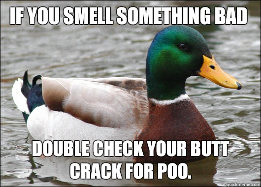 If you smell something bad Double check your butt crack for poo.  Actual Advice Mallard
