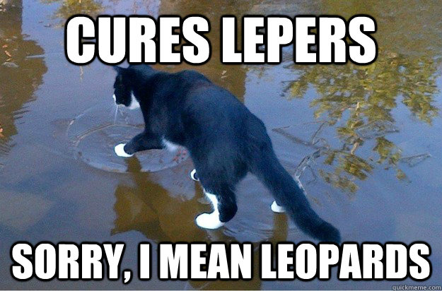 cures lepers sorry, i mean leopards   Jesus Cat