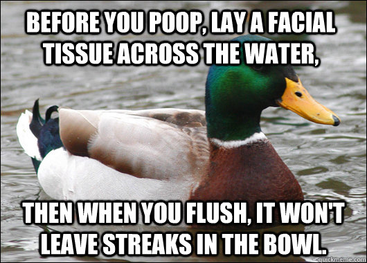 before you poop, lay a facial tissue across the water, then when you flush, it won't leave streaks in the bowl.  Actual Advice Mallard