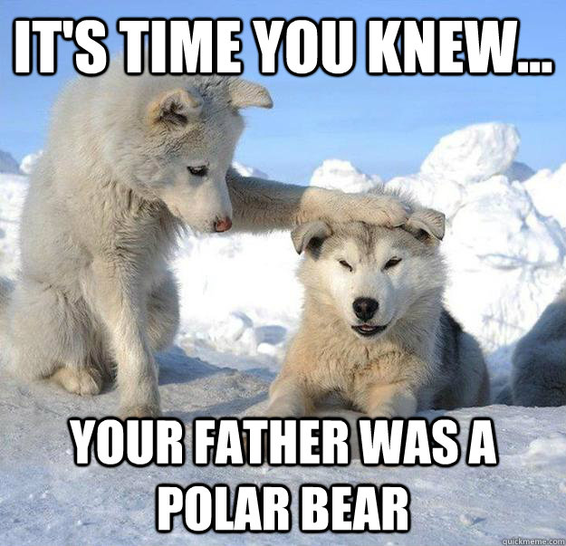 It's time you knew... Your father was a polar bear - It's time you knew... Your father was a polar bear  Caring Husky